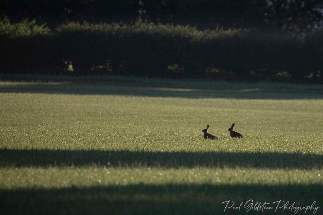 Carrick'S At Castle Farm Hotel Swanton Morley Buitenkant foto